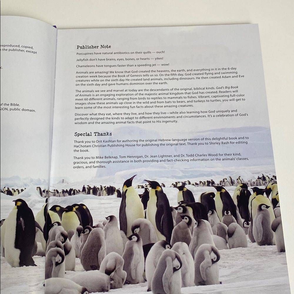 Master Books God's Big Book of Animals - Educational Book for Kids-Homeschool - Picture 4 of 16